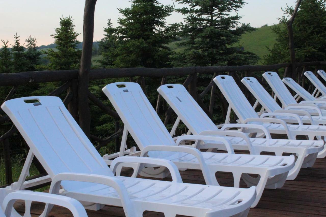 Hotel Bieszczadzkie Wrota Lasu Steznica  Esterno foto